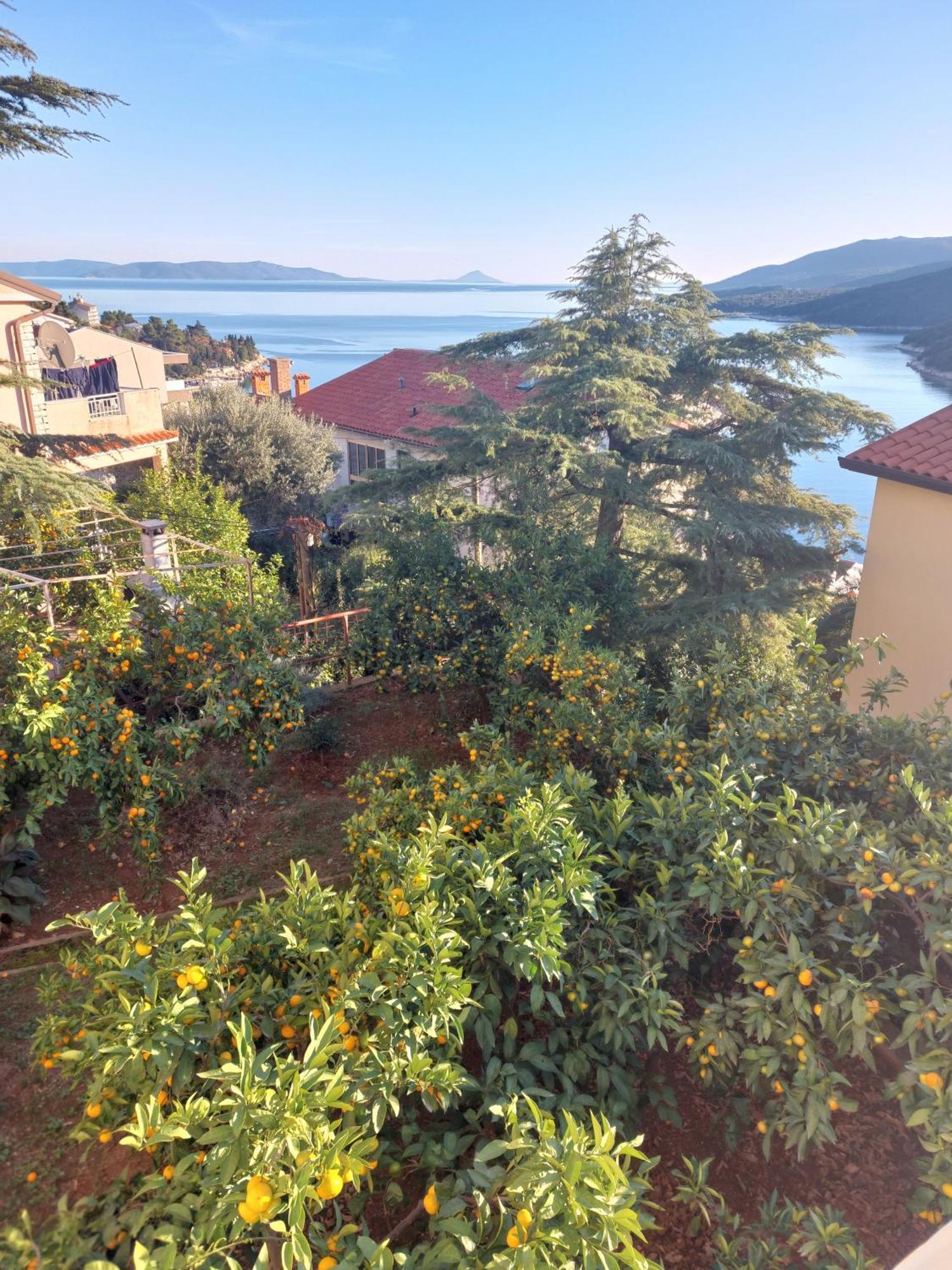 Appartamento Casa Panorama Sunset Rabac Esterno foto